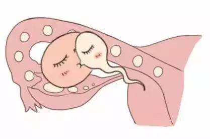 供卵代生机构生殖医学中心